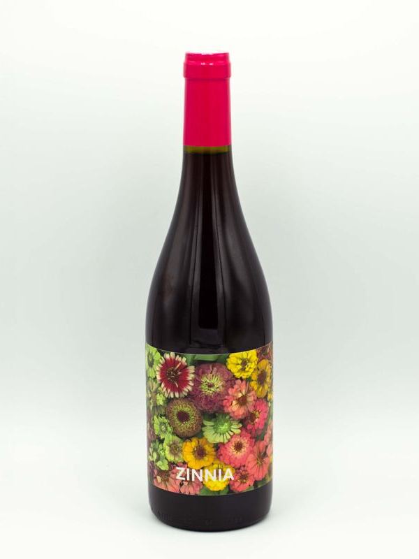 Zinnia