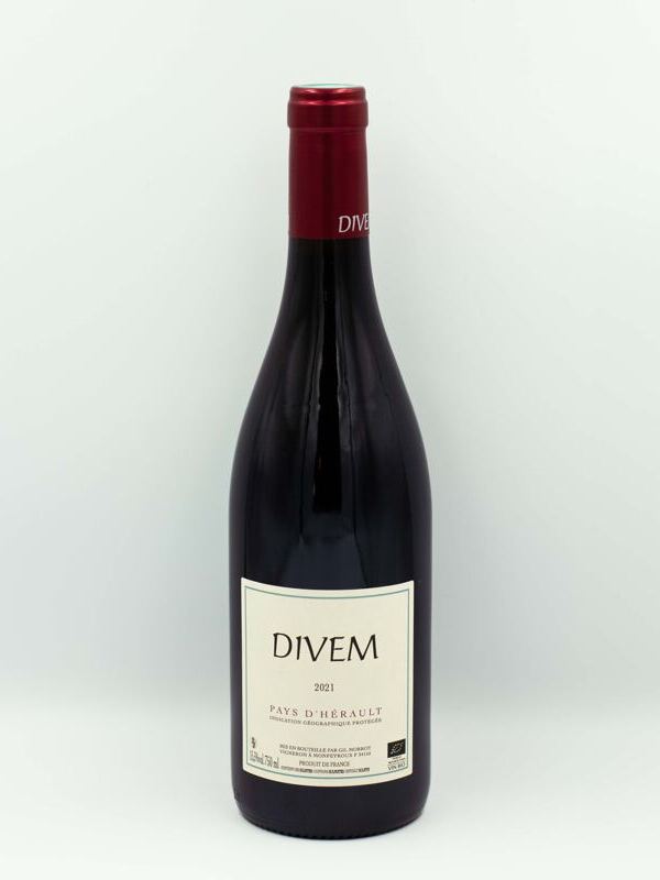 Divem 2021