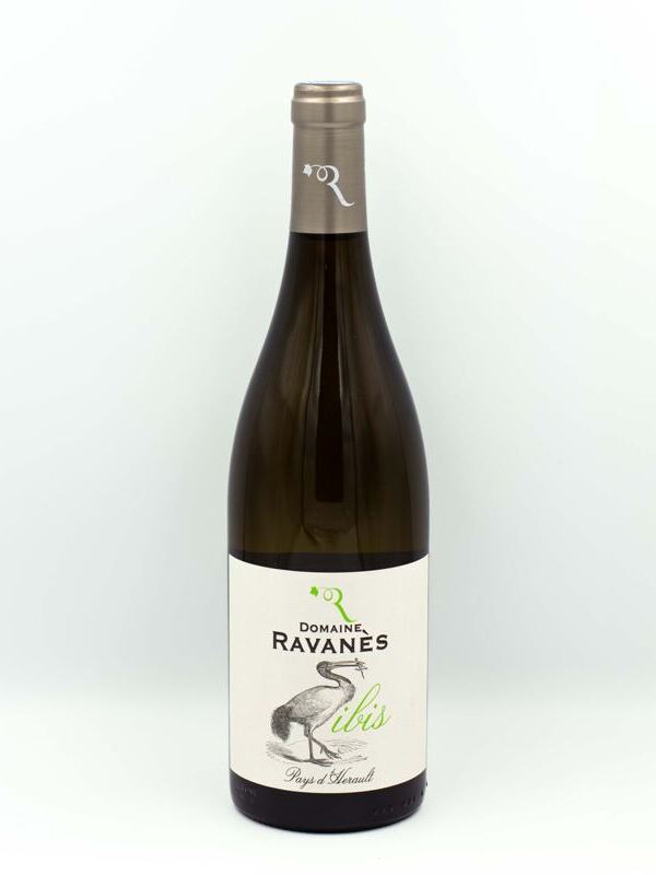 L'Ibis Blanc 2024