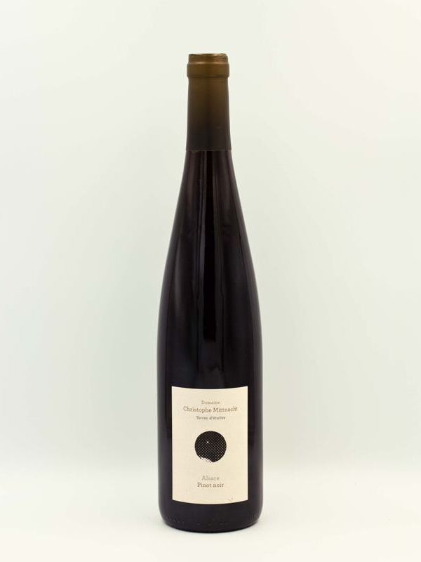 Pinot noir 2023 - Terres d'étoiles