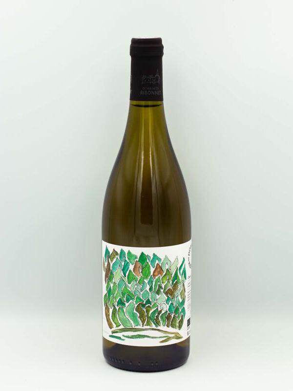 Chenin 2022 - Domaine de Ribonnet