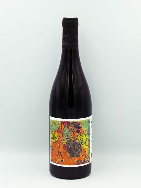 Pinot Syrah 2021 - Domaine de Ribonnet