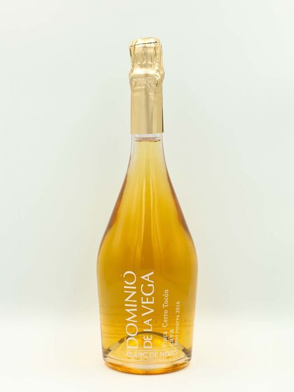 Cerro Toccón, Blanc De Noirs Brut Reserva 2016