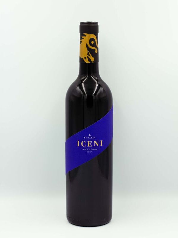Iceni 2020