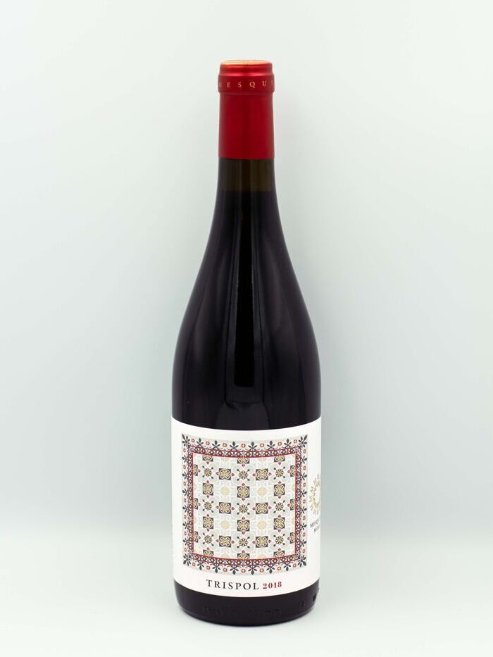 Trispol 2018