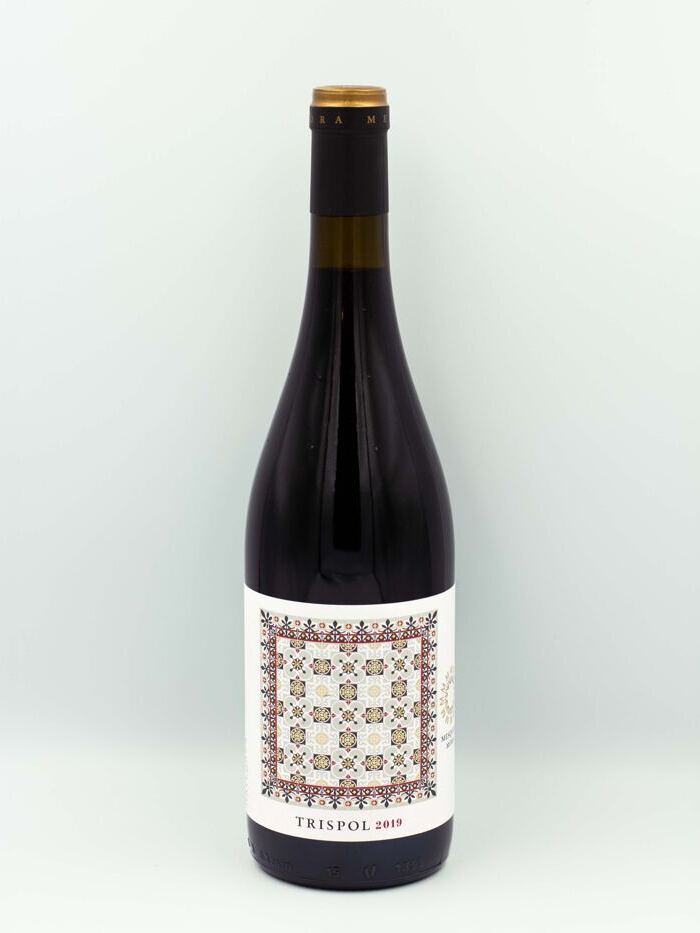 Trispol 2019