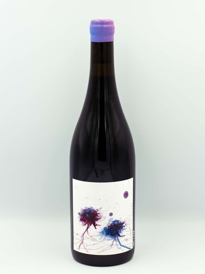 Garnatxa Peluda 2019 - En Números Vermells