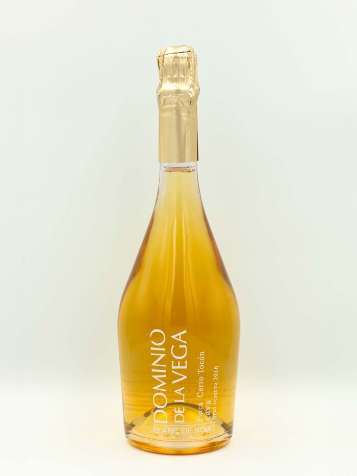 Cerro Toccón, Blanc De Noirs Brut Reserva 2016