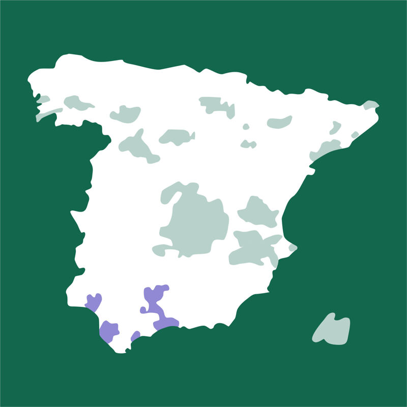 Karte von Spanien, Andalusien, Cádiz, Arcos de la Frontera