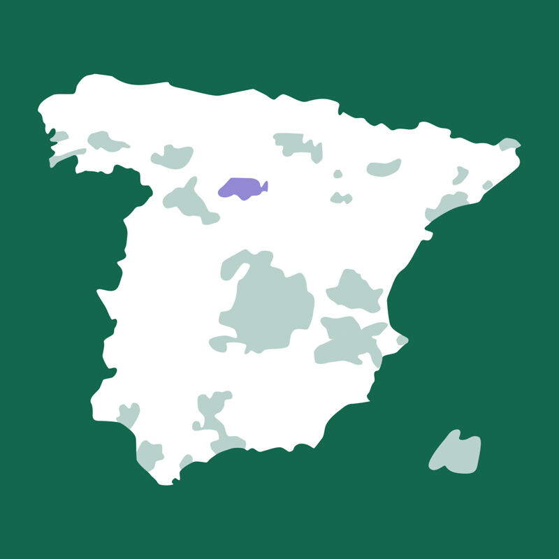 Karte von Spanien, Ribera del Duero, Burgos, Gumiel de Mercado