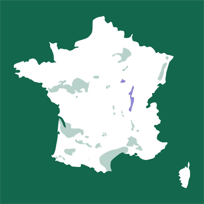 Karte von Frankreich, Bourgogne, Côte-d’Or, Beaune