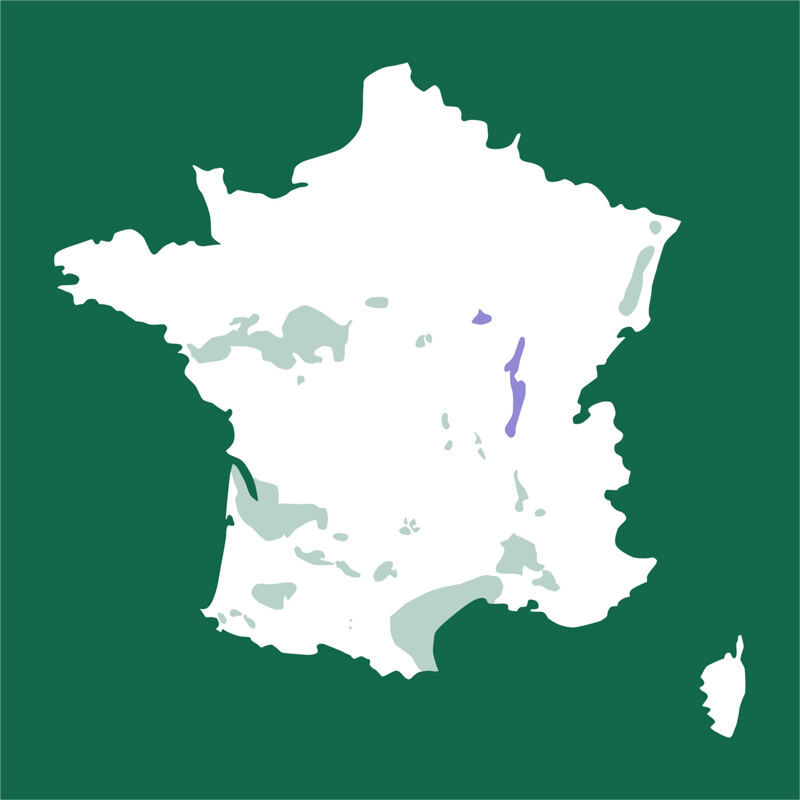 Karte von Frankreich, Bourgogne, Côte-d’Or, Beaune