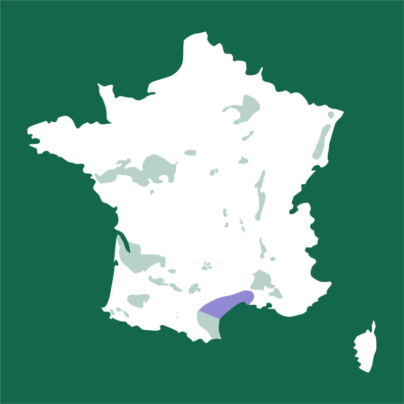 Karte von Frankreich, Languedoc, Terrasses de Béziers, Thézane-lès-Béziers