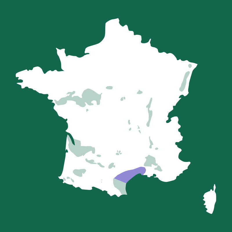 Karte von Frankreich, Languedoc, Coteaux du Languedoc, Aniane