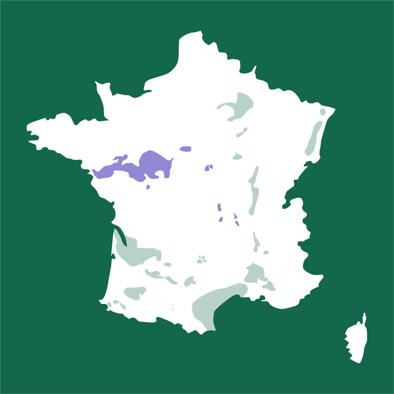 Karte von Frankreich, Loire, Touraine, Marigny-Brizay