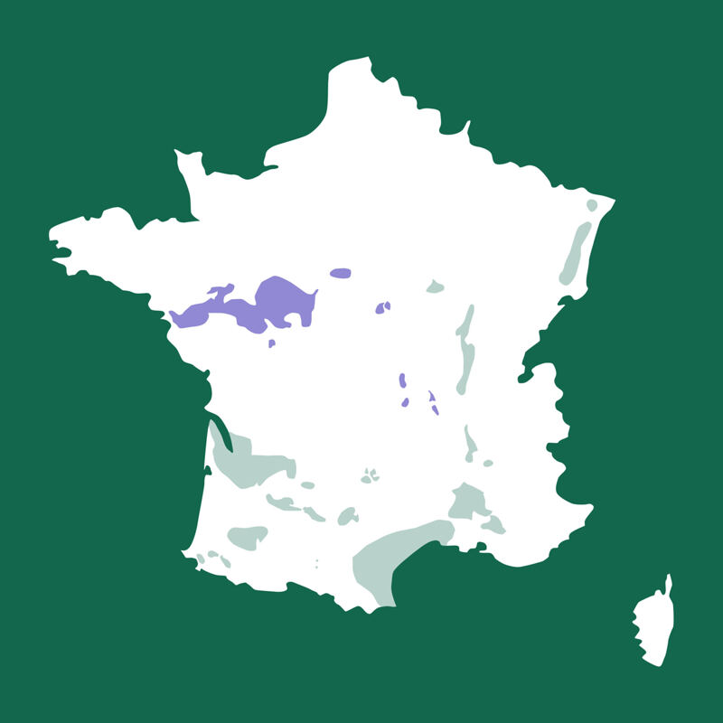 Karte von Frankreich, Loire, Touraine, Marigny-Brizay