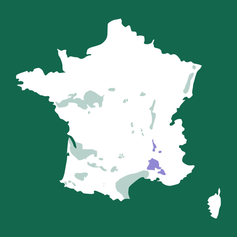 Karte von Frankreich, Rhône, Côtes du Ventoux, Vacqueyras