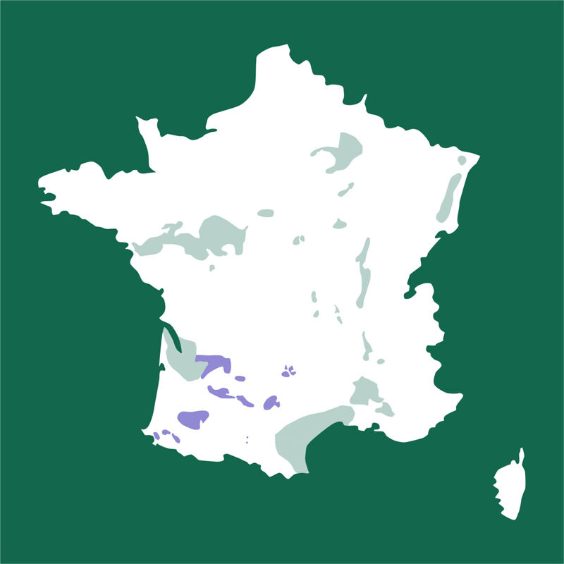Karte von Frankreich, Sud-Ouest, Ariège, Le Fossat