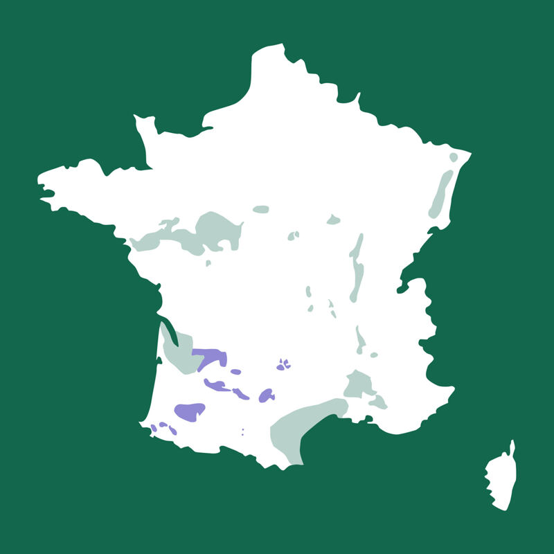 Karte von Frankreich, Sud-Ouest, Ariège, Carla Bayle